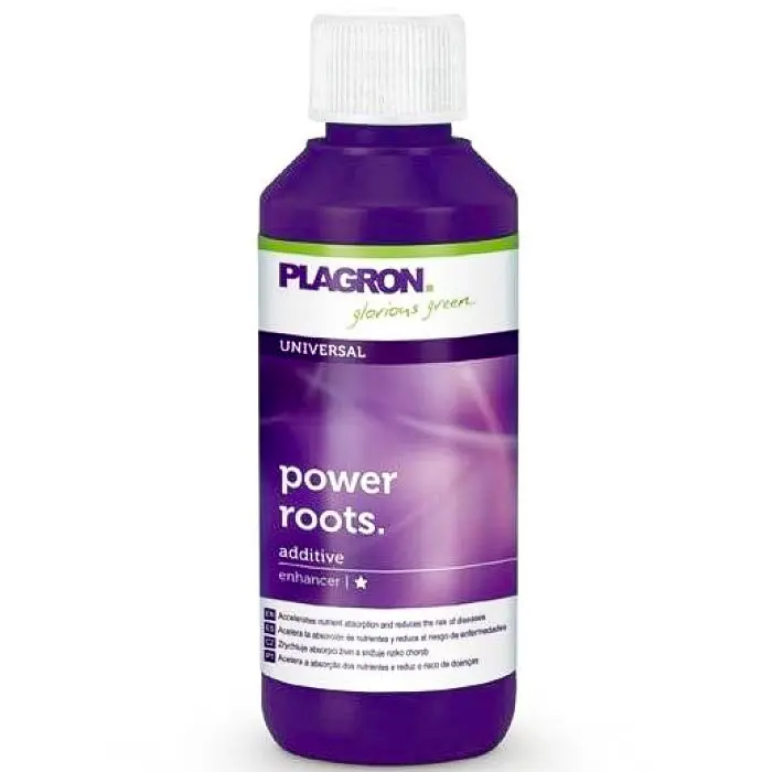 POWER ROOTS  100 ml PLAGRON