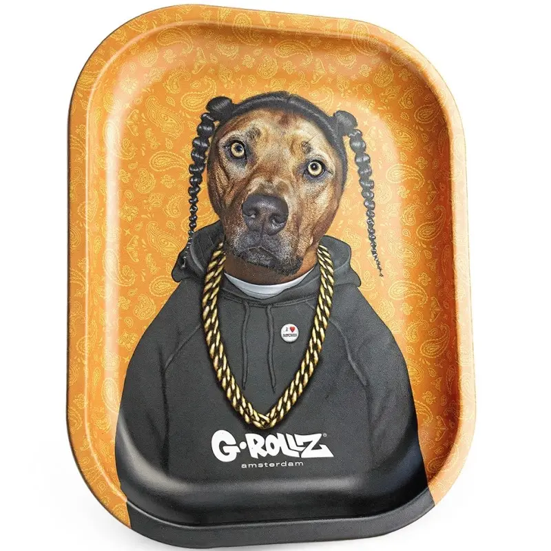 VASSOIO PETS ROCK RAP SMALL 14x18 cm G-ROLLZ 